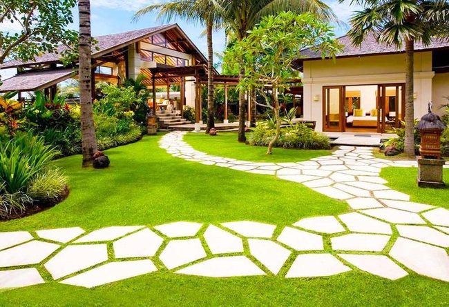 White Stone Path Through Tropical Green