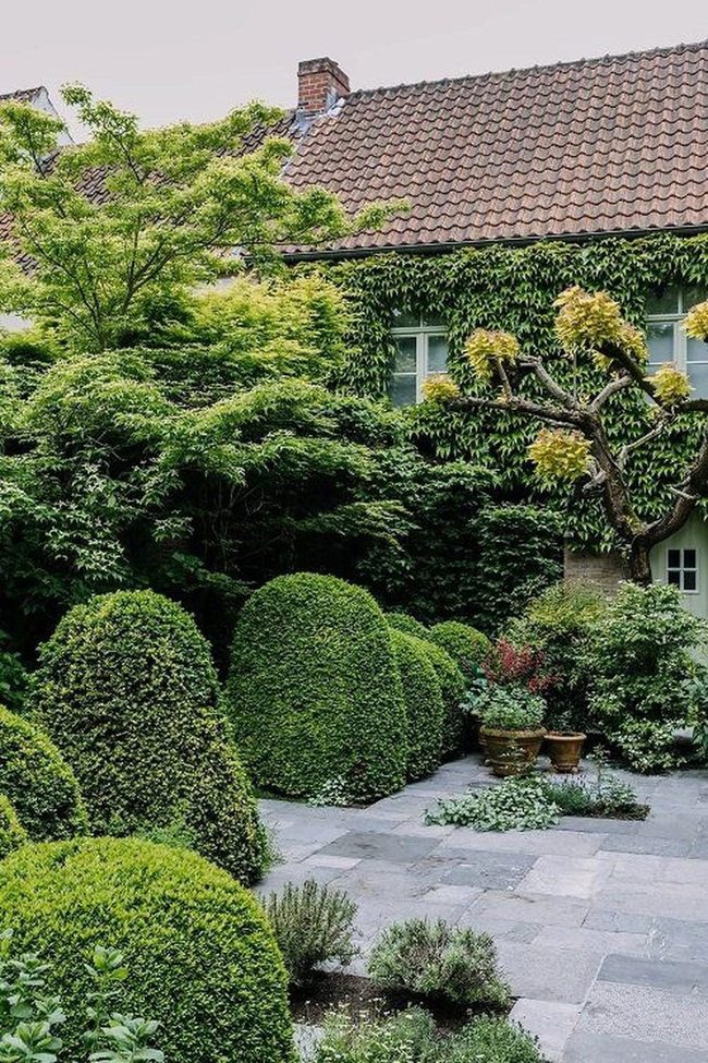 Ivy-Covered Walls And Winding Stone Paths