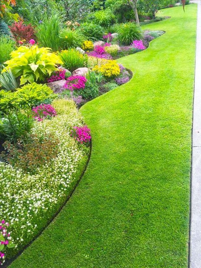 Winding Garden Paths Through Blooming Color
