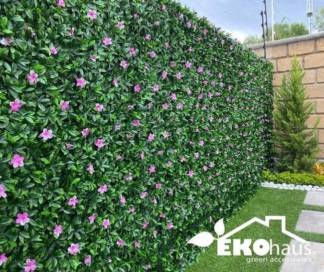 Living Green Wall For Small Spaces