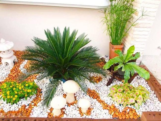Zen Garden With Terracotta Pebbles And Palms