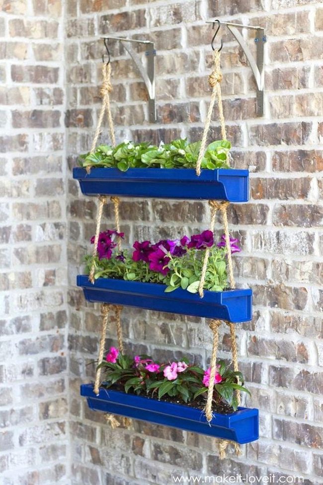 Rope-Hung Blooms Against Brick
