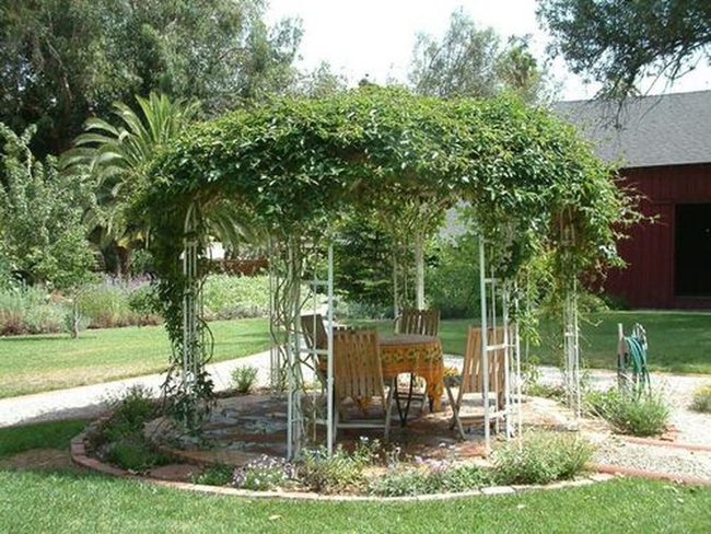 Green Canopy Garden Pathways