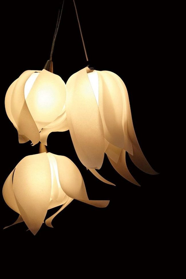 Cream Petal Lights Modern Elegance