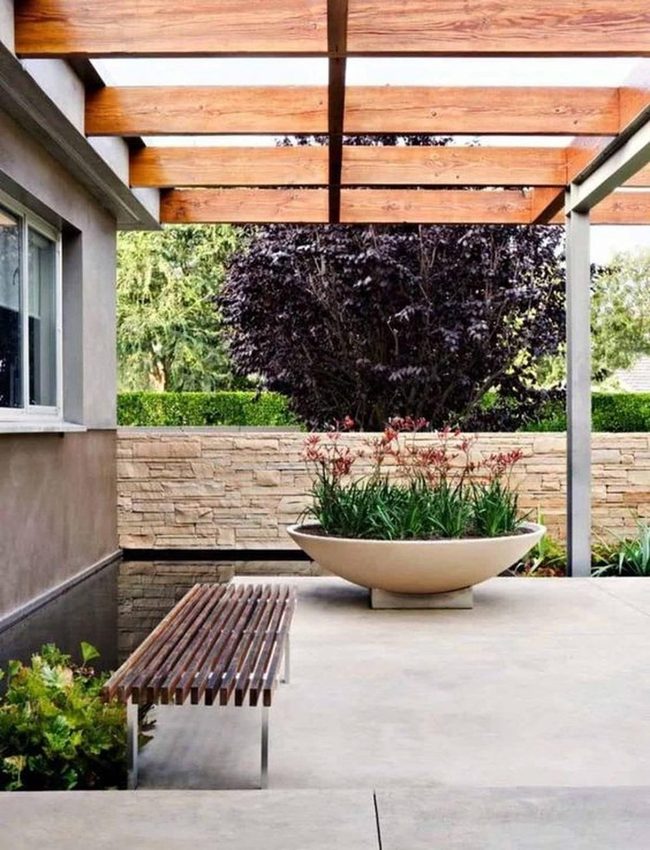 Red Blooms On Concrete And Stone