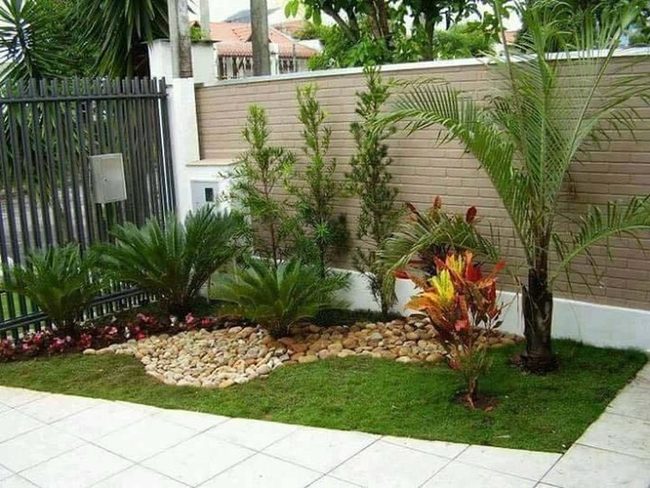 Tall Tropical Greens Transform Spaces