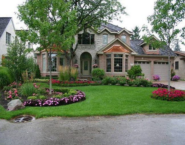 Mature Trees Frame Natural Property Value