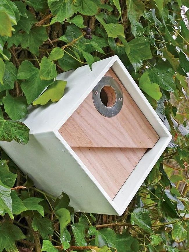 Modern Wood Birdhouse With Vine Details
