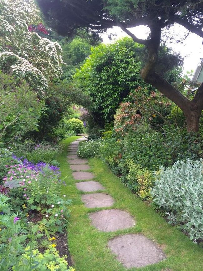 Pink Flowers Through Winding Stone Path