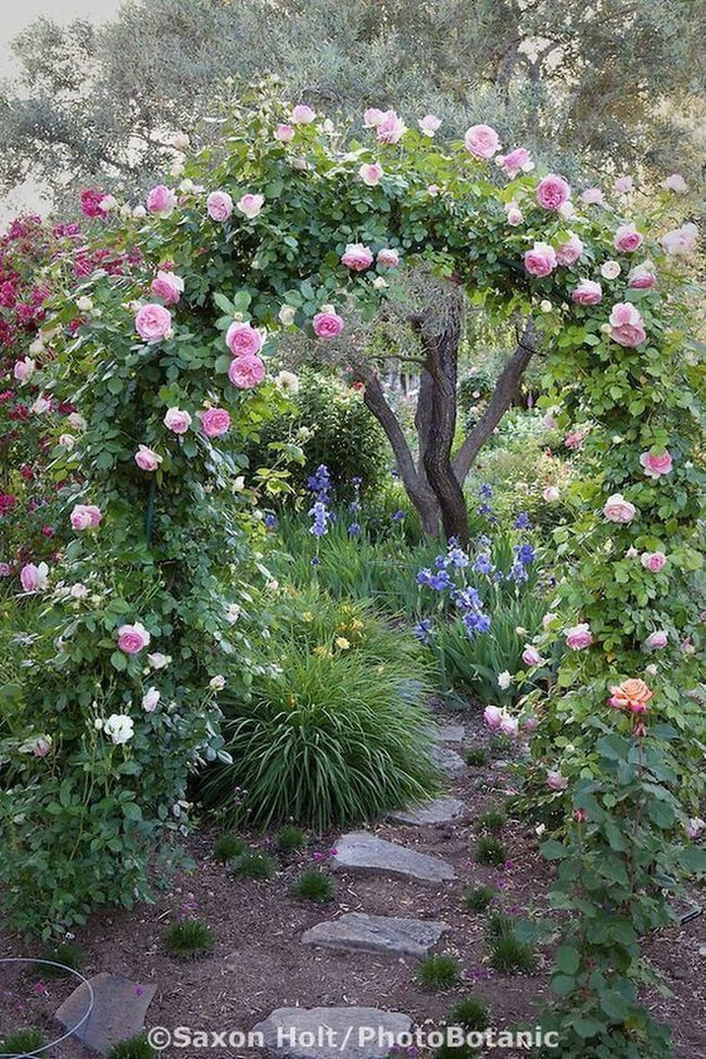 Pink Bloom Arch Gateway