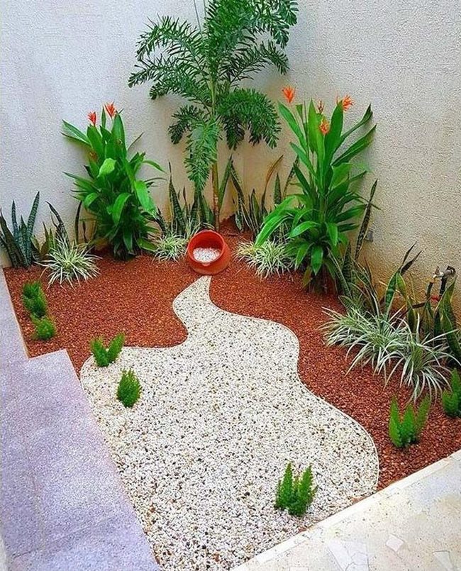 Gray Stones, Desert Plants, Zero Maintenance