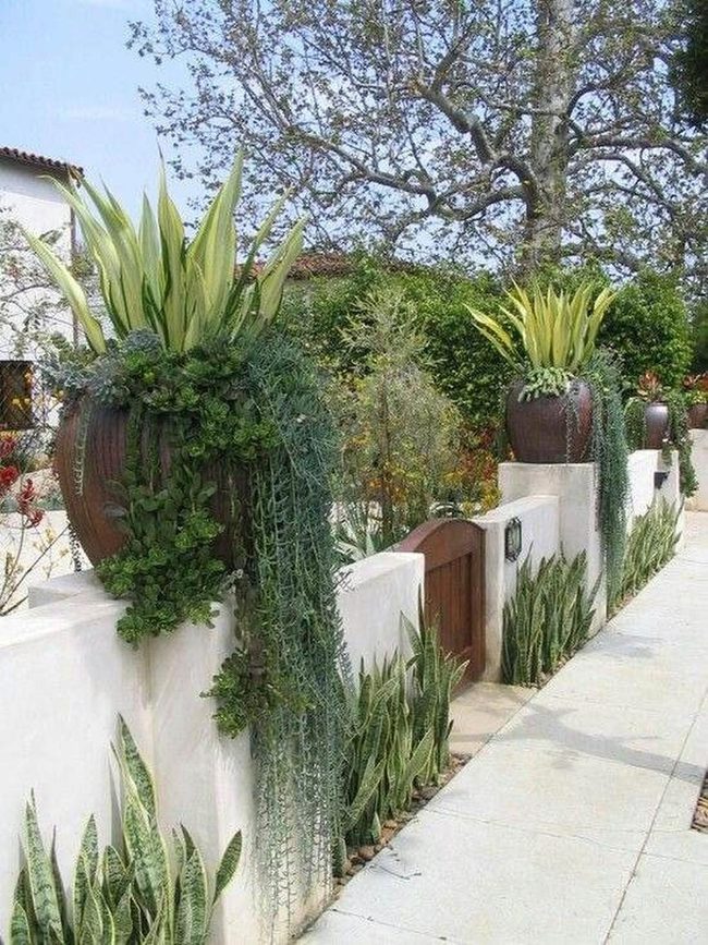 Drought-Tough Plants Frame Gate