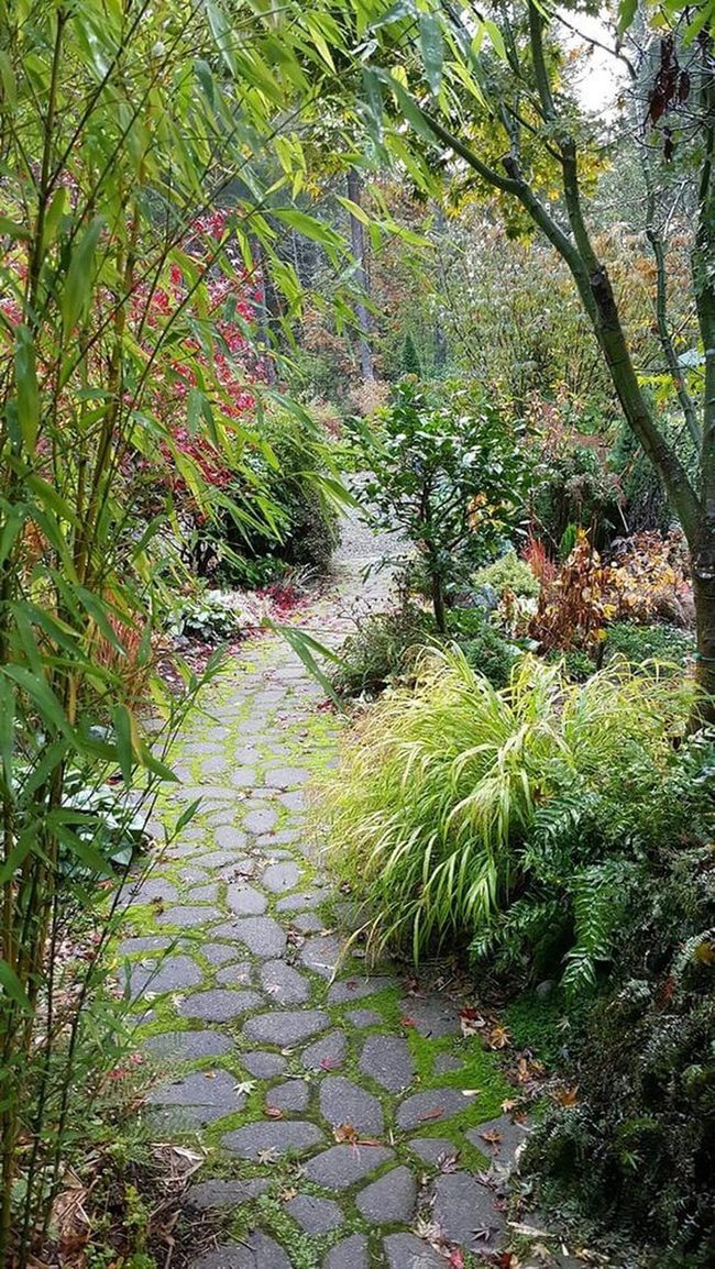 Stone Pathway Through Layered Gardens