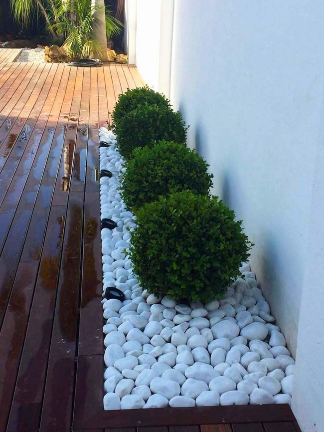 White Stone Garden With Boxwood