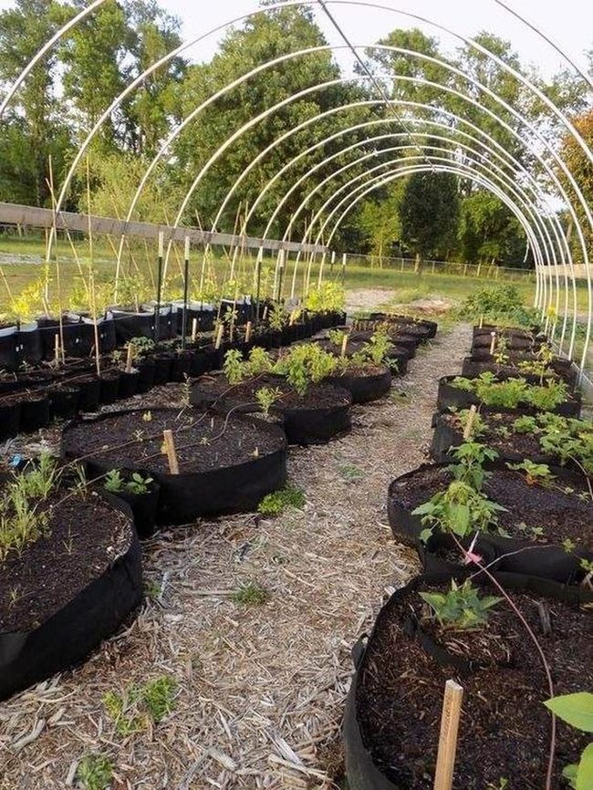 Fabric Pots Vertical Garden Solution