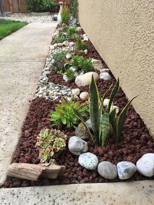 Stone And Succulent Ground