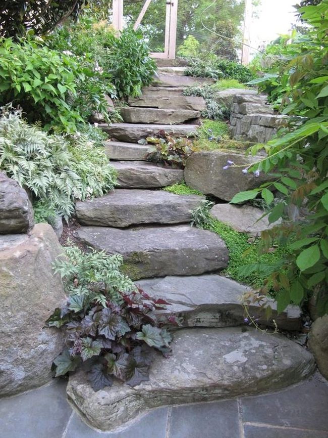 Stone Path Purple Blooms