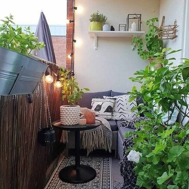Green Plants, Morning Coffee Corner