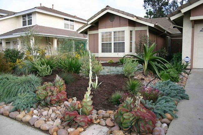 Layered Desert Plants And Stones