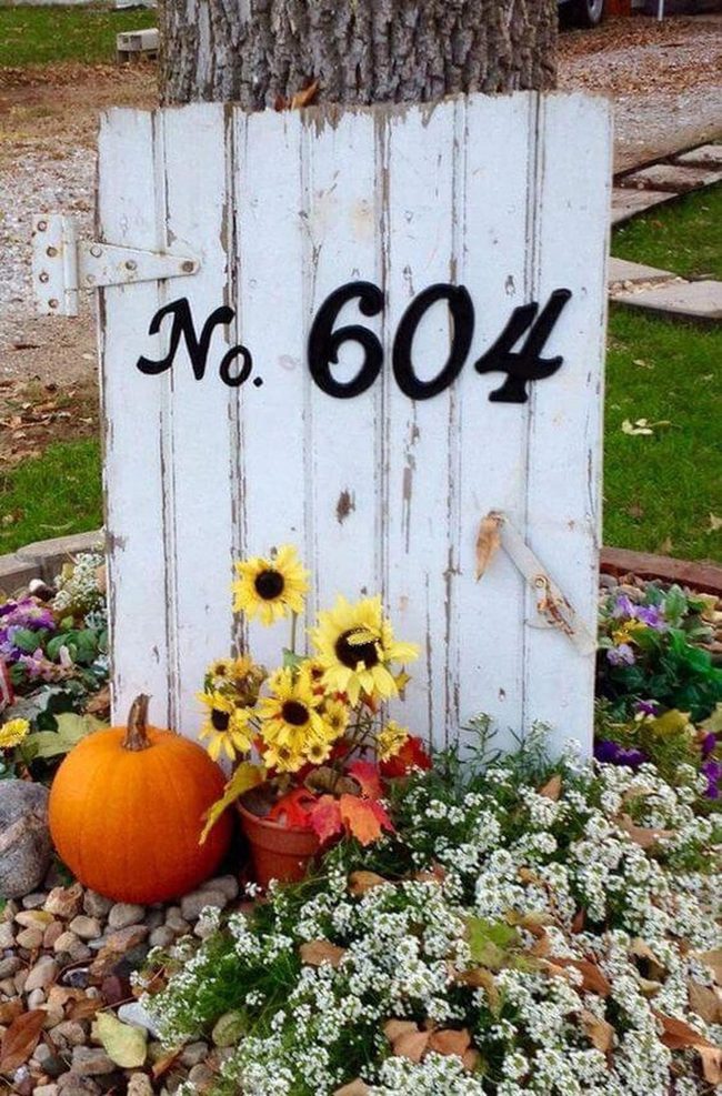 Sunflowers And Pumpkins On Wood