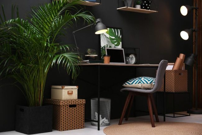 Green Palms, Productive Workspace