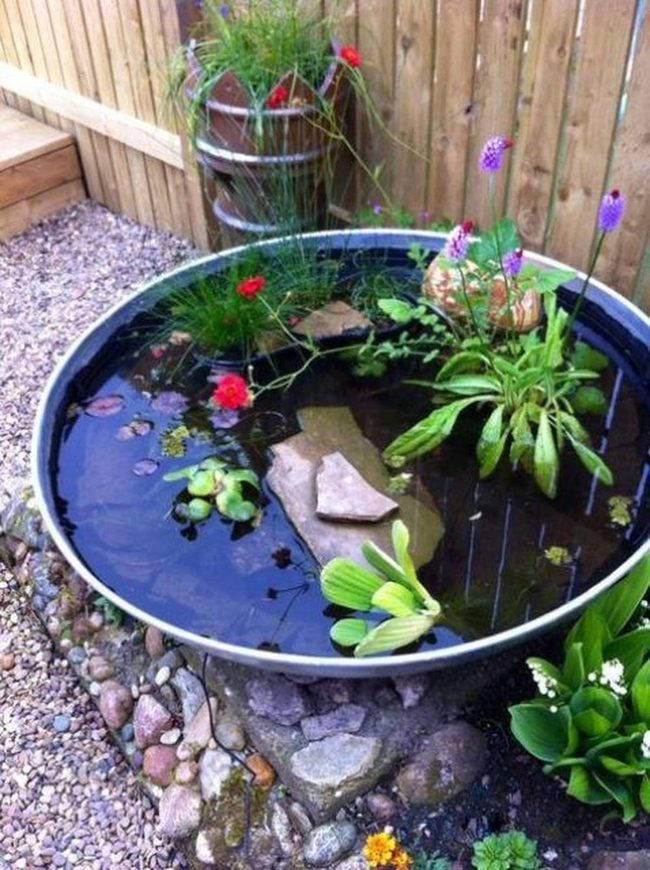 Purple Flowers Water Garden Setup
