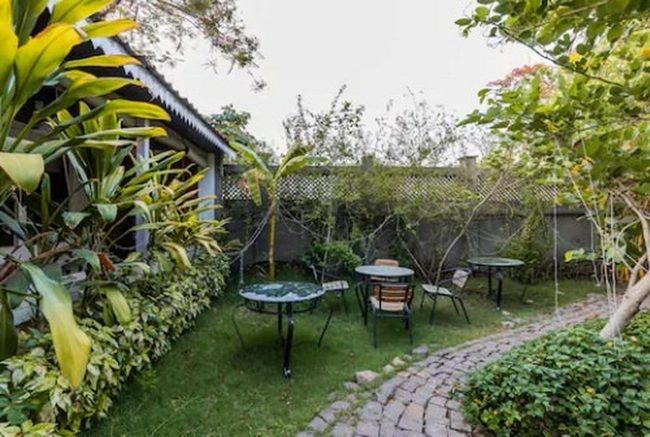 Stone Paths Through Living Green