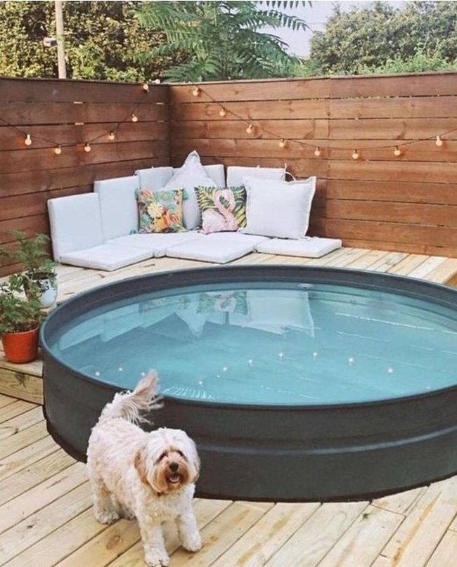 Sparkling Pool Wooden Deck Oasis