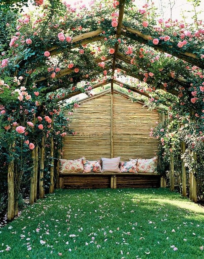 Pink Rose Canopy Garden