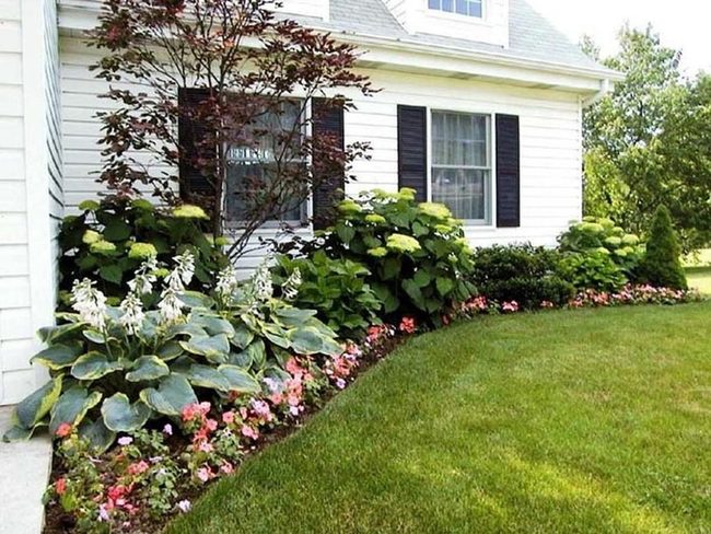 Colorful Flowers Frame Every Season