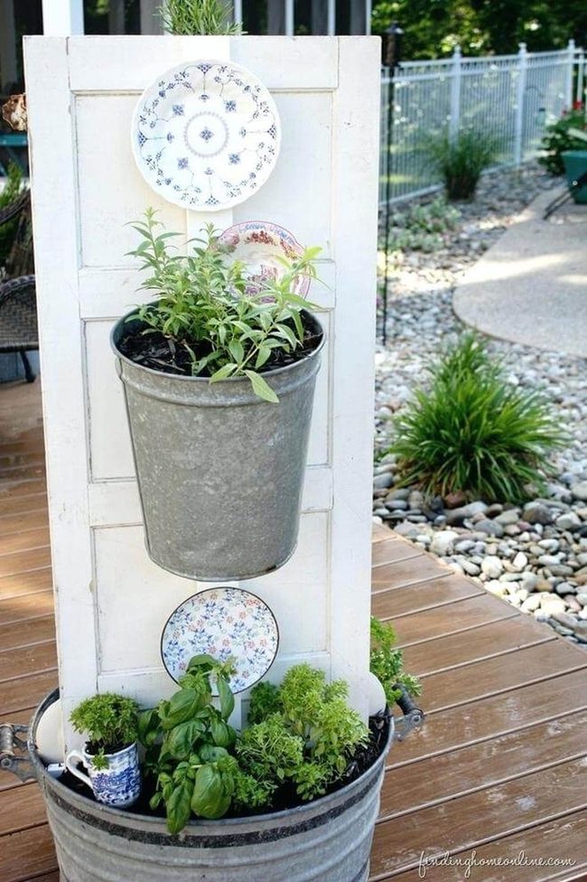 Fresh Herbs At Your Fingertips