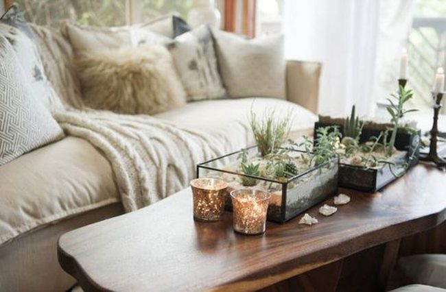 Illuminated Glass Succulent Containers