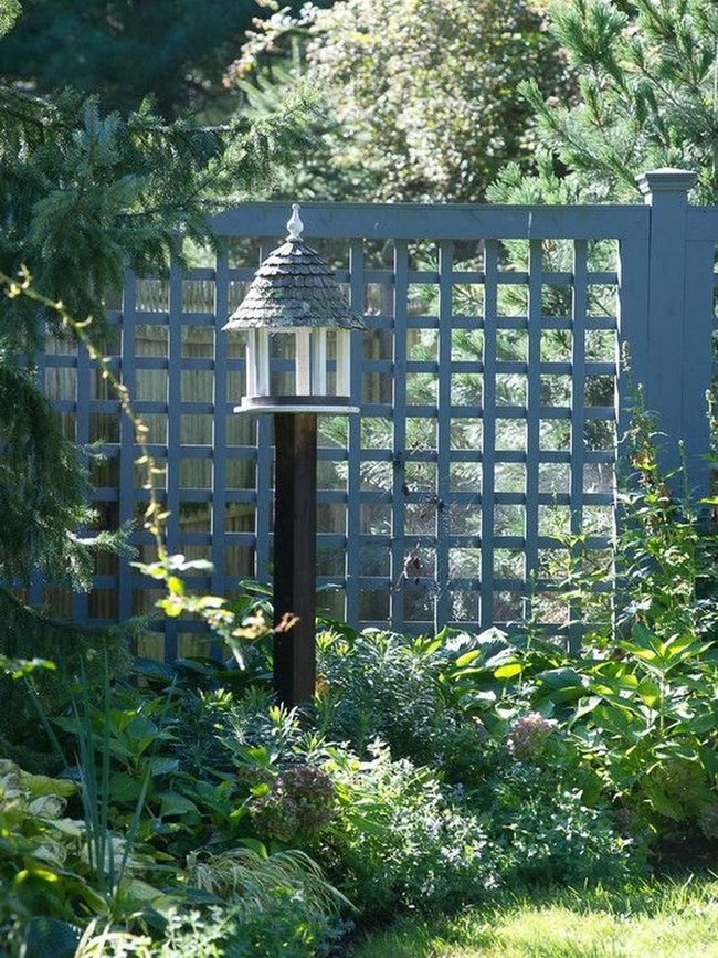 Sunlit Birdhouse Among Dappled Leaves
