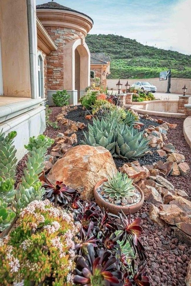 Earthy Succulents Meet Desert Stone