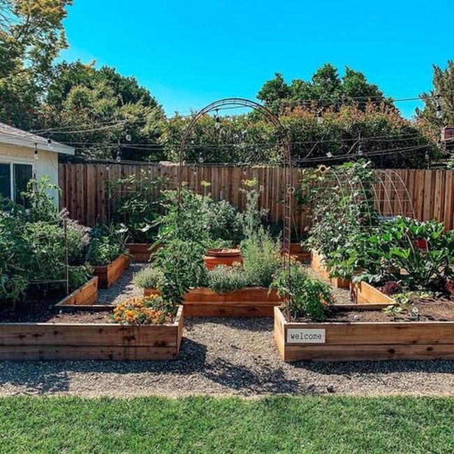 Elevated Wood Garden Beds