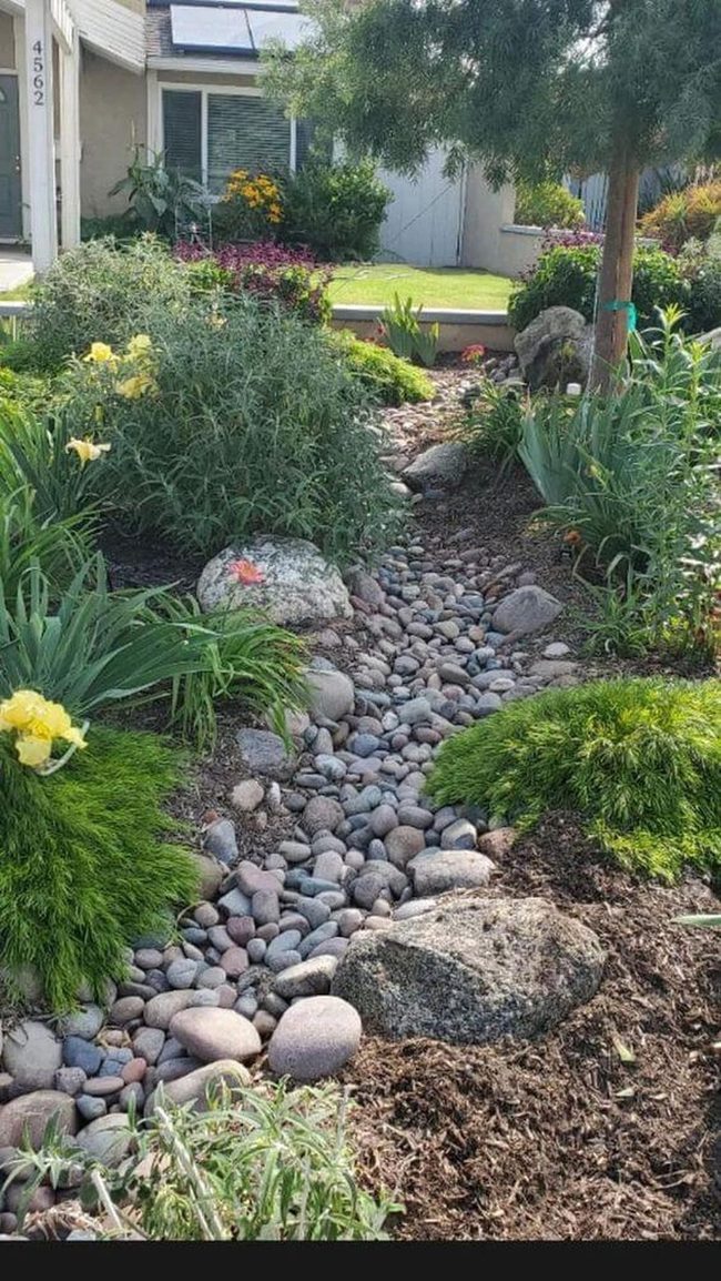 Stone Pathway Through Native Plants