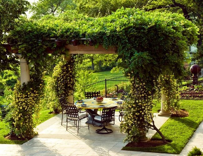 Bamboo Pergolas Under Tropical Canopy