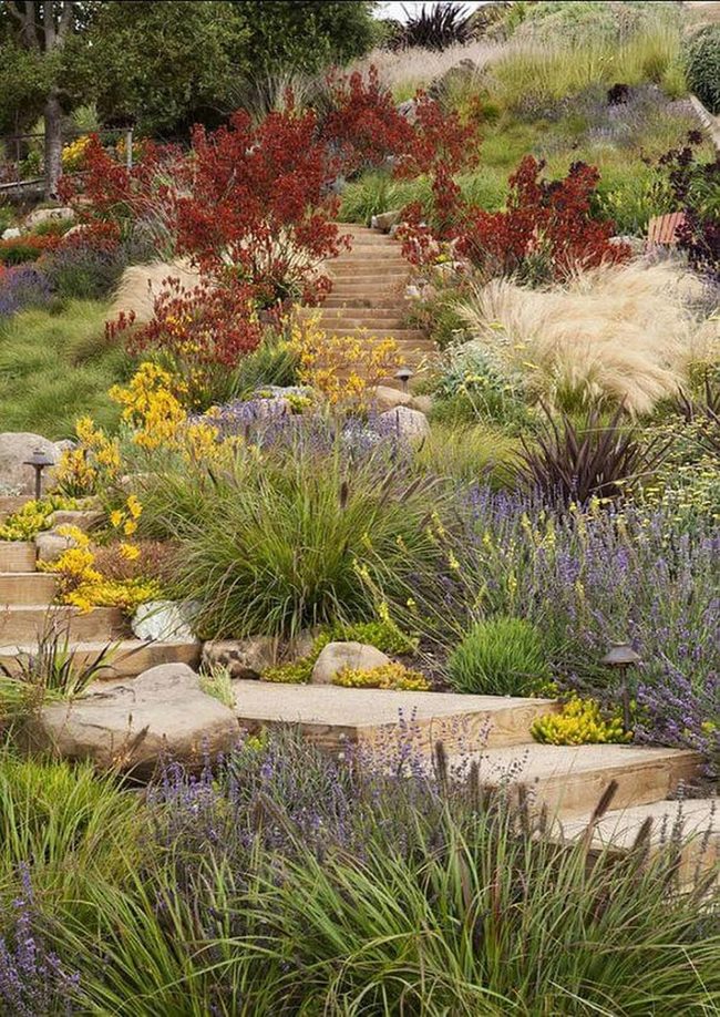 Hillside Blooms With Layered Stone Pathways