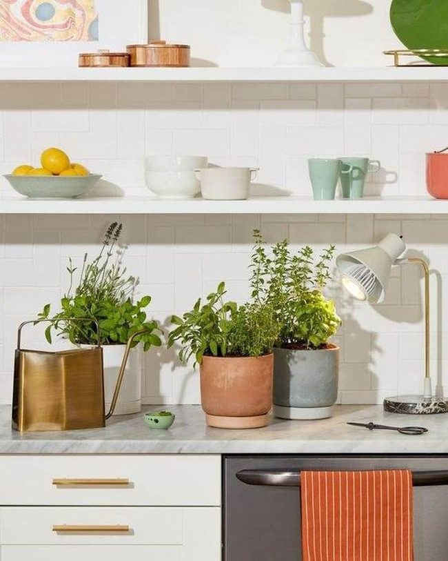 Fresh Herbs In Terracotta And Ceramic