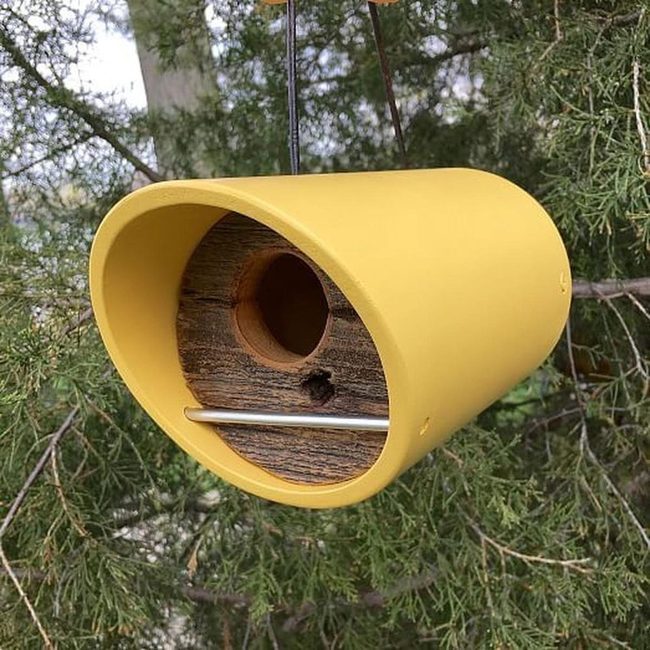Yellow Birdhouses Among Green Branches