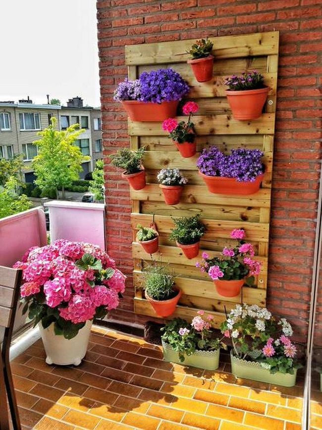 Vertical Blooms On Small Balconies