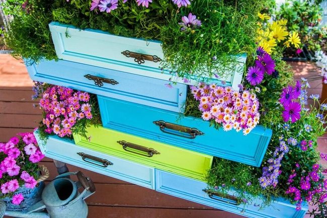 Blooming Painted Drawers Burst Color