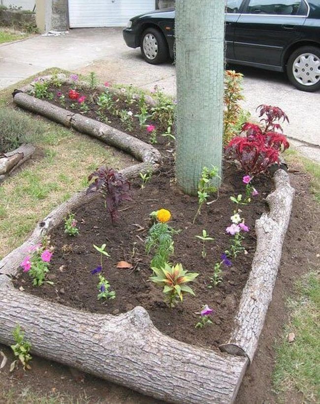 Natural Wood Log Borders