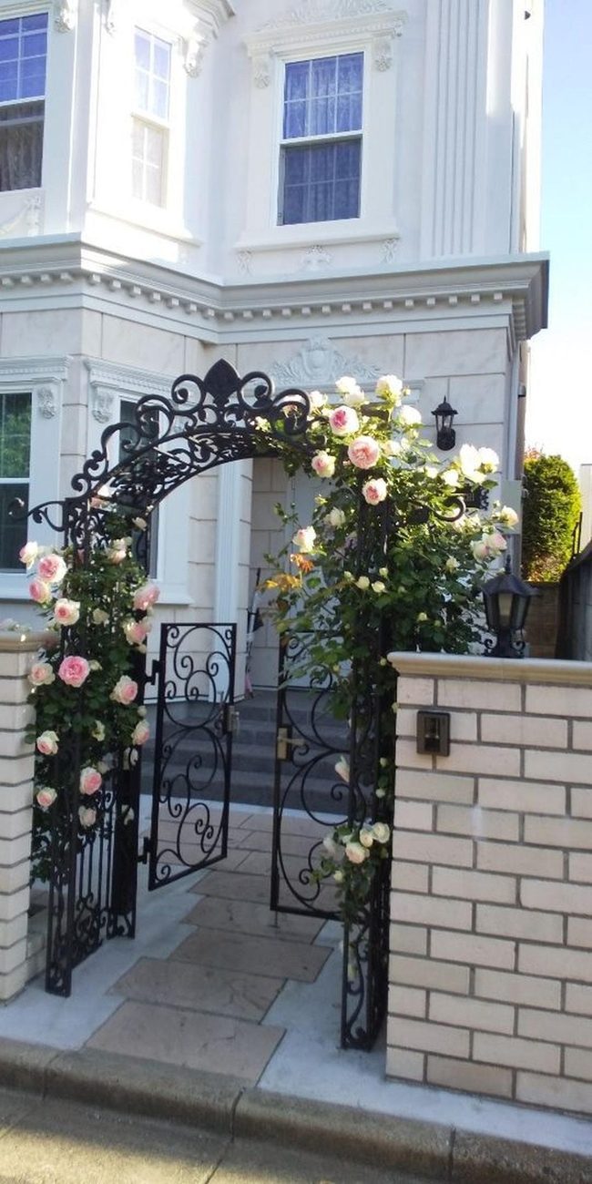 Iron Gates And Climbing Roses