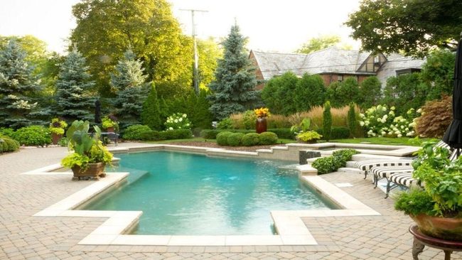 Forest Pool Retreat Hidden