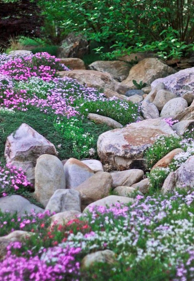 Stone Pathway Through Blooming Gardens