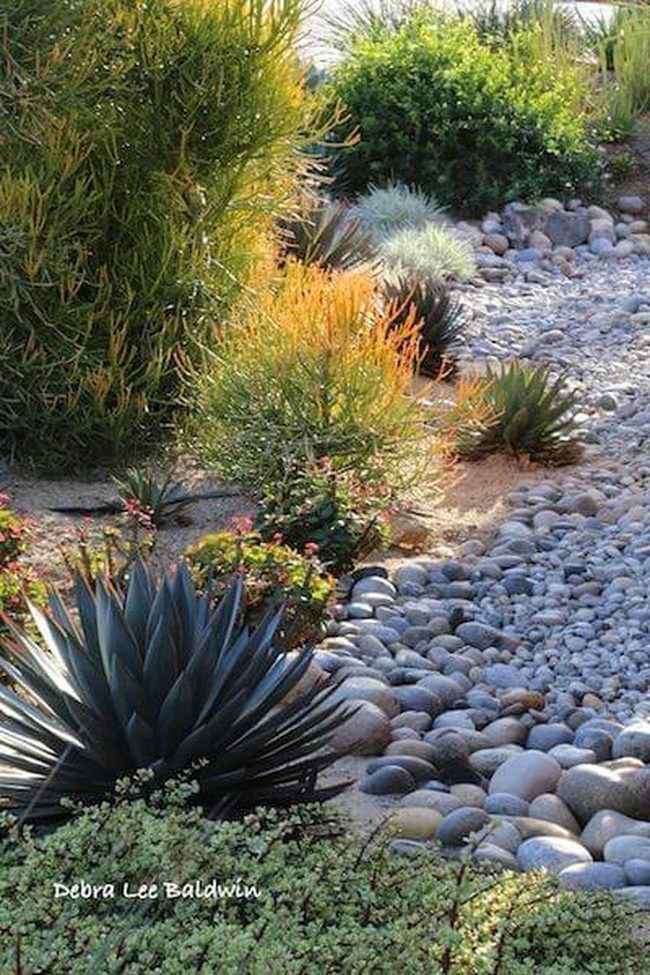 Weathered Stone And Desert Green
