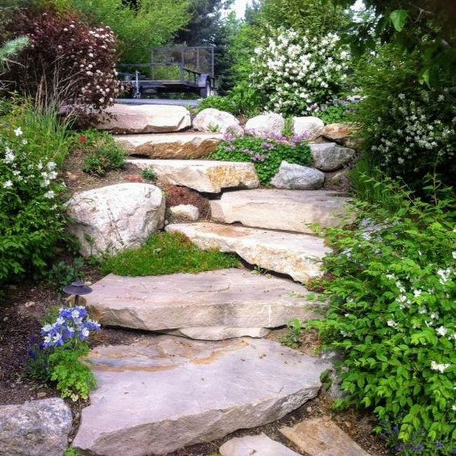 Stone Pathways Through Flowering Green Sanctuary