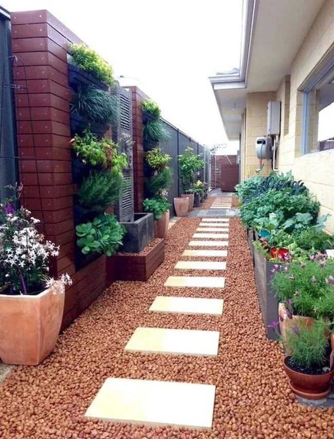 Stone Path Through Living Walls