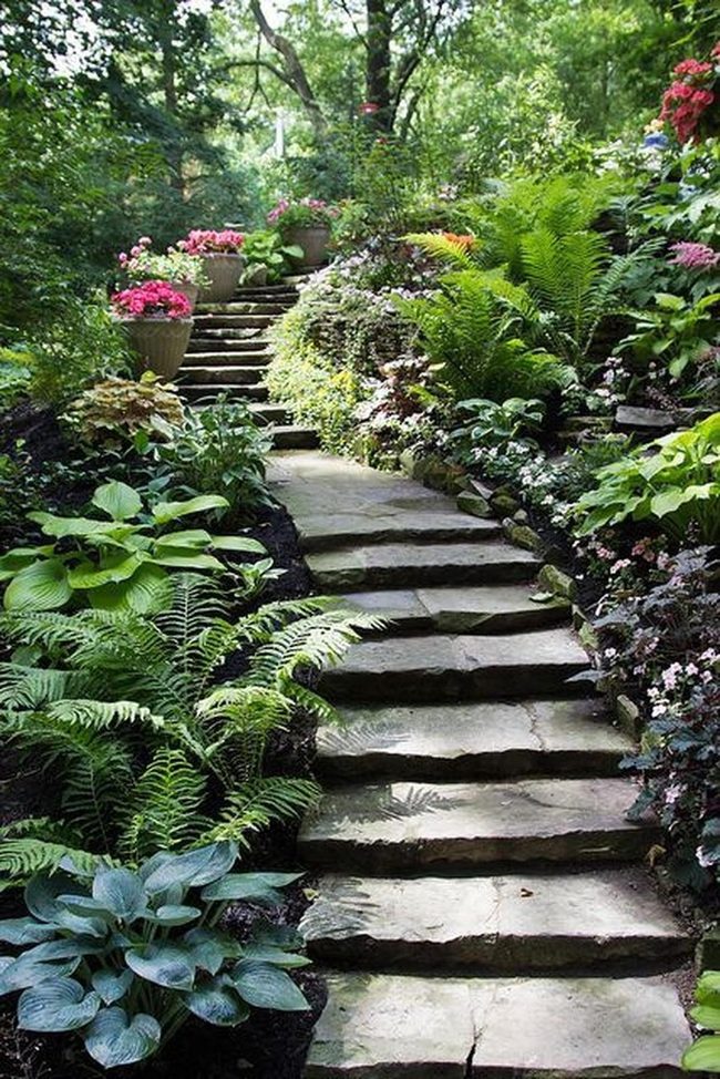 Pink Flowers Through Stone Garden